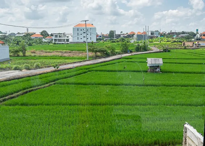 Is Bali I Canggu (Bali)